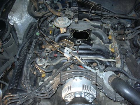 1996 Ford Crown Victoria - Close-up view of an engine bay, showing various components including the intake manifold and alternator.