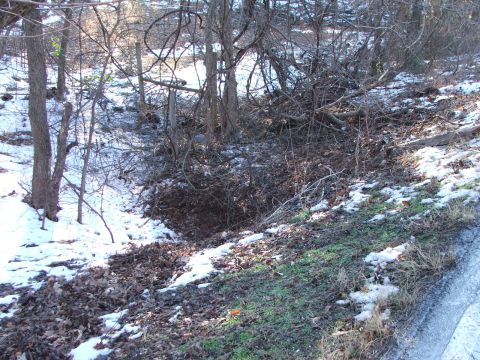 1990 Dodge Shadow - A winter scene shows an overgrown embankment covered in snow and fallen leaves.