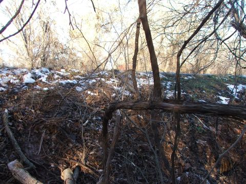 1990 Dodge Shadow - A natural scene of a wooded area in winter, with snow and fallen leaves covering the ground.