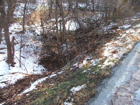 1990 Dodge Shadow - A winter landscape with snow patches and bare trees lining a dirt road.