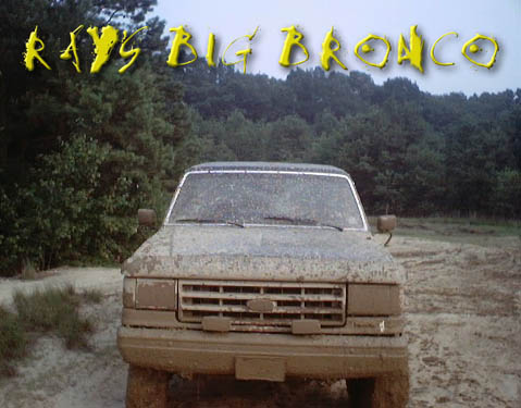 1989 Ford Bronco photo