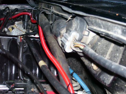 Underhood pix - 1996 Ford Bronco