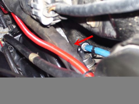 1996 Ford Bronco - Close-up view of engine bay components, including red and blue hoses, with a red arrow indicating a specific part.