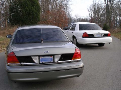 2001 Ford Crown Victoria - Two Ford Crown Victorias are seen from the rear on a paved road with trees in the background.