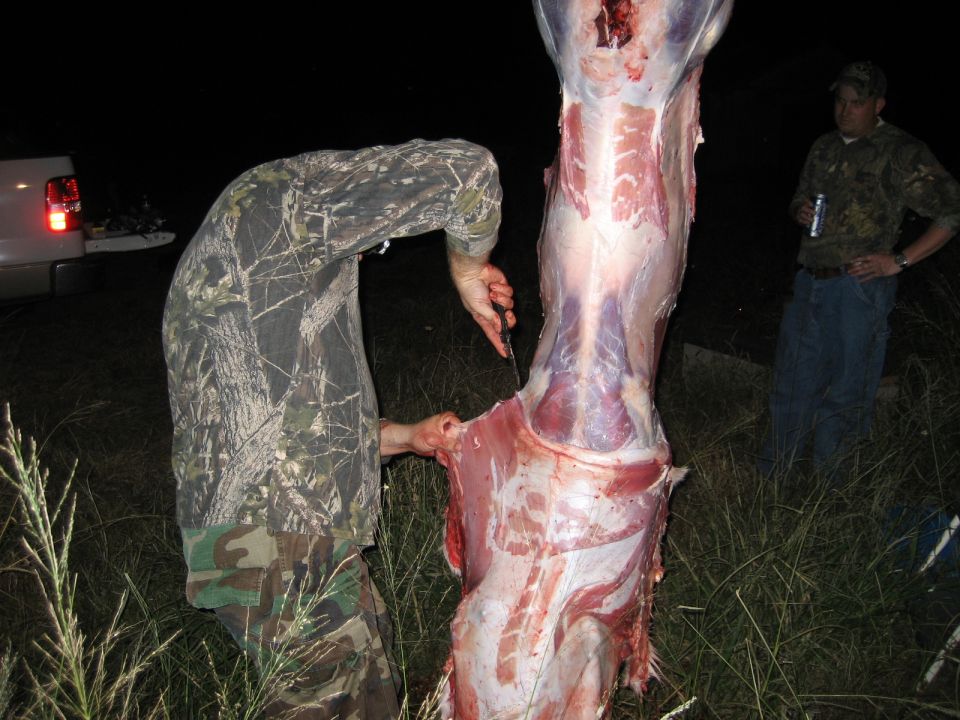 man field dressing a deer carcass at night, another man watches