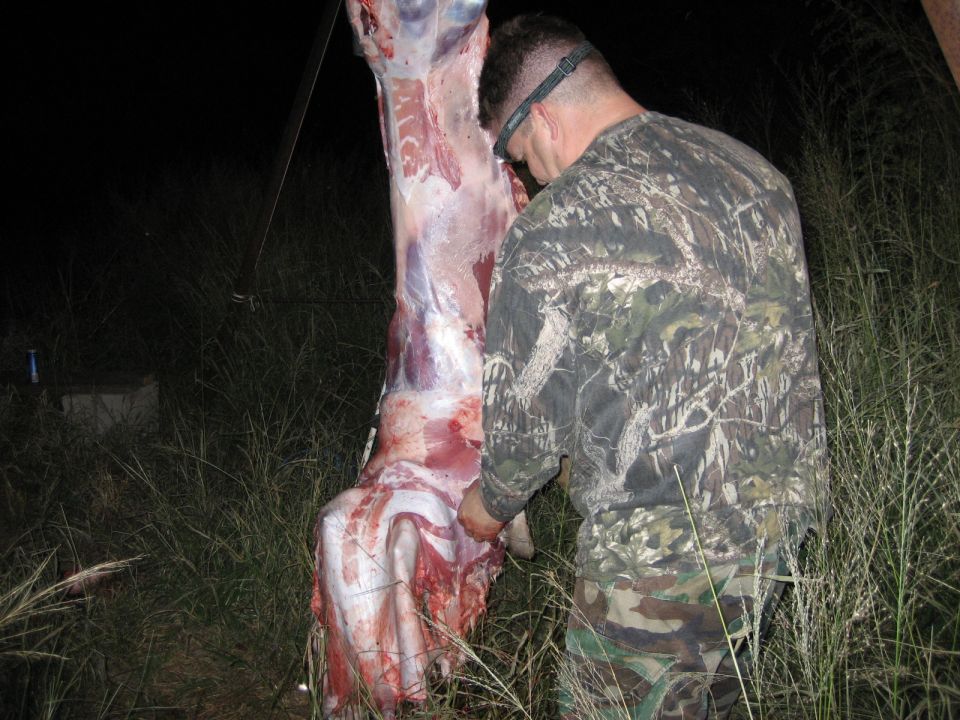Deer carcass hanging from a metal pole, being processed by a man in camouflage clothing at night