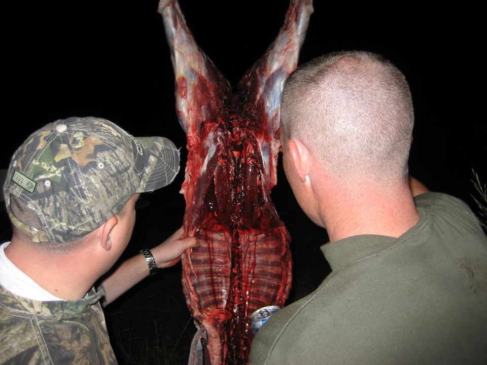 Two men examine a freshly field-dressed deer carcass at night