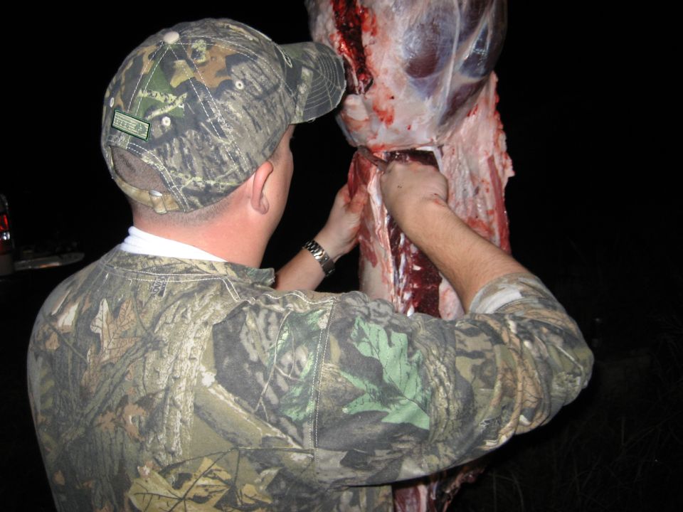 Man in camouflage butchering a large animal carcass at night