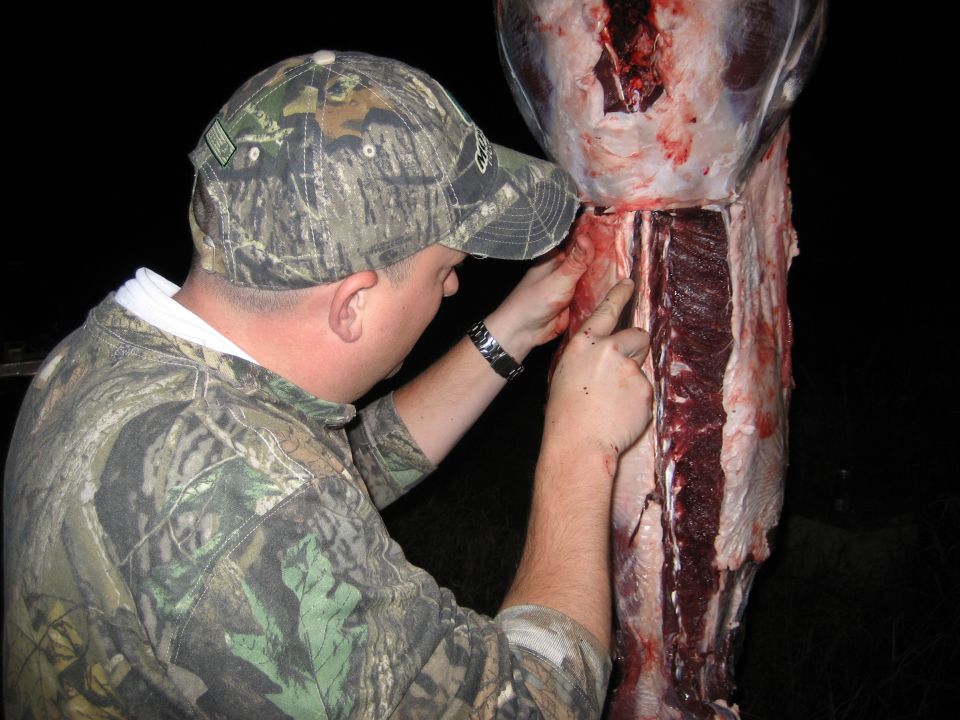 Man in camouflage field dressing a deer carcass