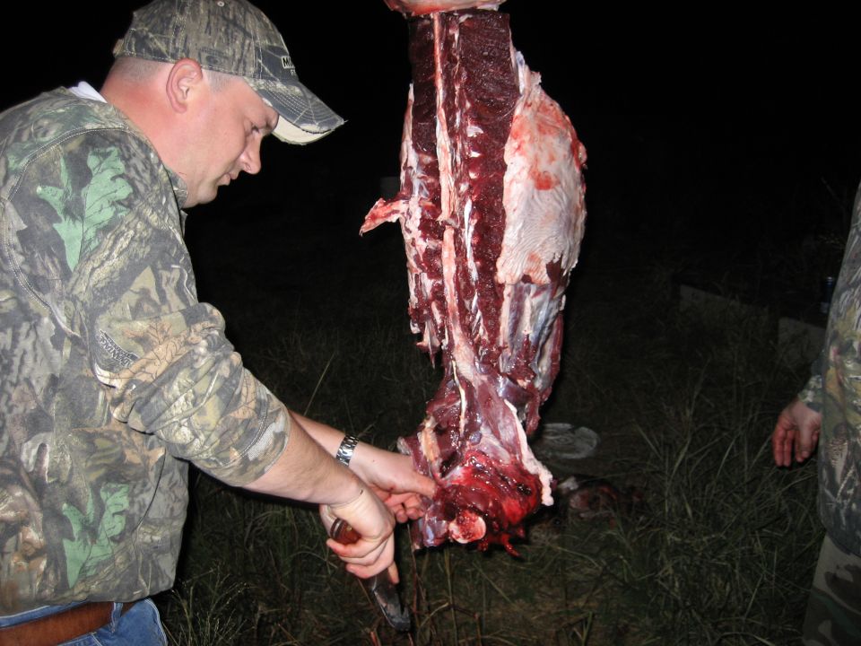 man in camouflage butchering a large animal carcass hanging from above