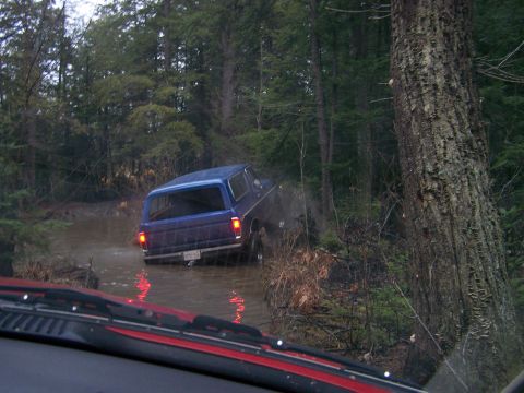 1979 Ford Bronco - Blue SUV navigates a muddy trail in a dense forest, kicking up water.