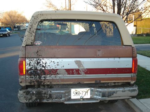 1990 Ford Bronco photo