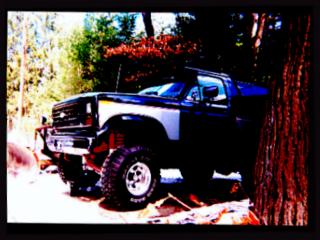 1982 Ford Bronco photo