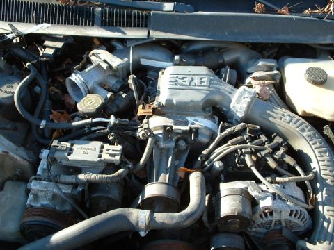 1989 Ford Thunderbird - Close-up view of a vehicle's engine compartment, showing various components and tubing.