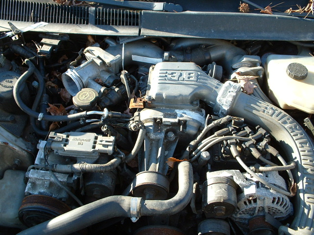 Engine bay with a 3.8L intake manifold and supercharger tubing visible