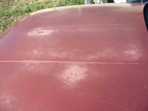 1989 Ford Thunderbird - Close-up of a faded maroon car hood showing wear and a prominent crease.
