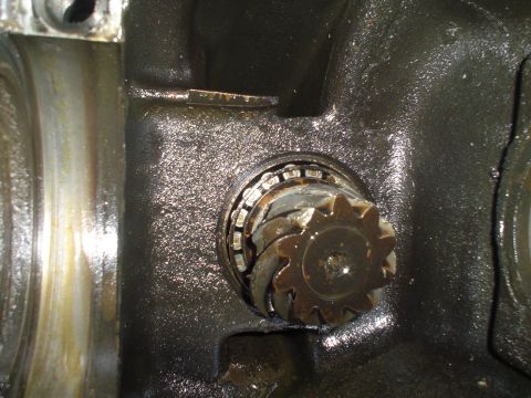 1967 Ford F-250 - Worn differential gear and bearing assembly within a greasy housing, indicative of potential rear axle failure.