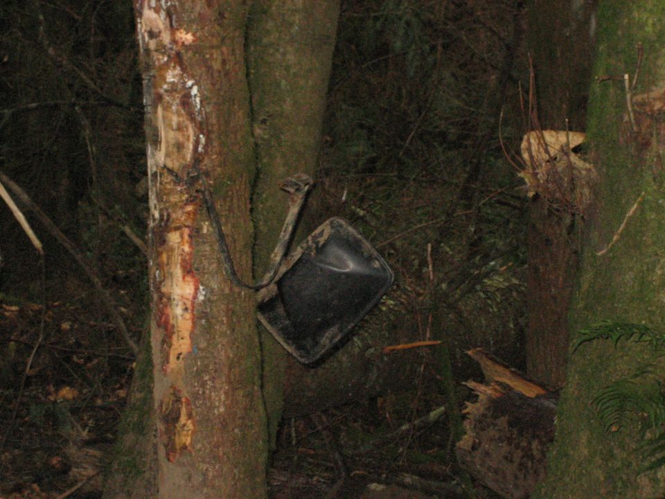 Broken side mirror hanging from a tree in a wooded area