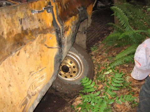 1990 Ford Bronco - A vehicle is stuck in the mud, surrounded by trees and ferns.