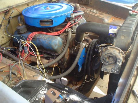 1967 Ford F-250 - Close-up view of a Ford V8 engine, showing the air cleaner, distributor, and various hoses and wires.