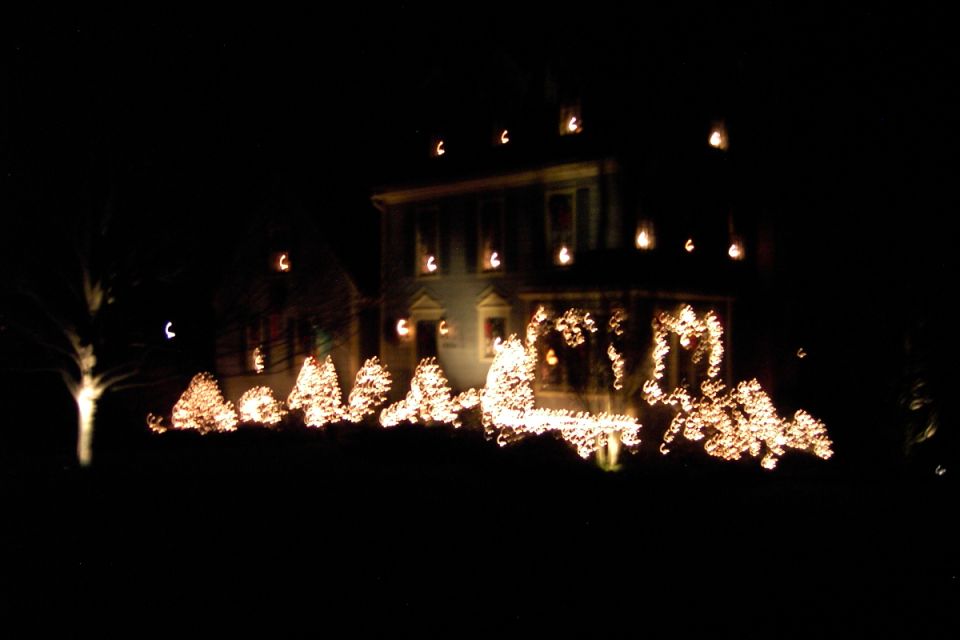 House at night with Christmas lights on shrubs and windows; no vehicle