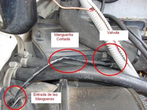 1986 Ford Bronco - A damaged hose in the engine bay, marked with red circles and Spanish labels indicating a cut hose and hose entry.