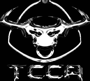2002 Ford Taurus - Chrome TCCA logo