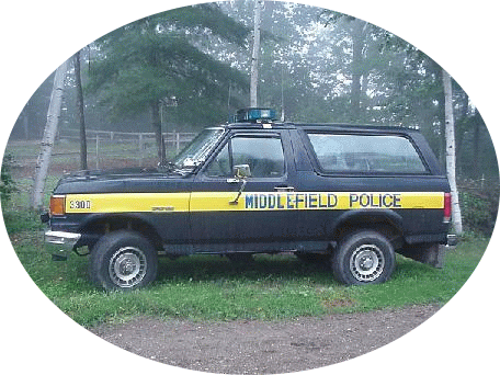 1986 Ford Bronco - A side profile of a Ford Bronco with a yellow stripe, likely from the early 1980s.