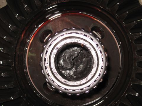 1977 Ford F-150 - This image shows a close-up of a differential gear assembly, including a bearing packed with grease.