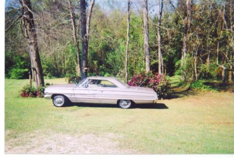 1972 Ford Ranchero - A classic Ford Galaxie 500 sits in a grassy area surrounded by trees and flowering bushes.