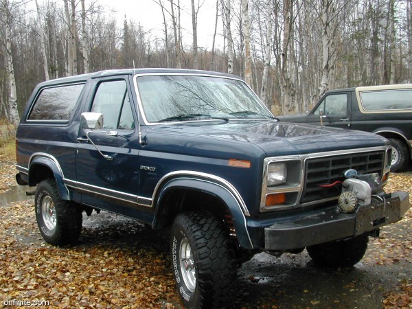Dark blue full-size Ford Bronco with front winch and white-letter tires parked among birch trees