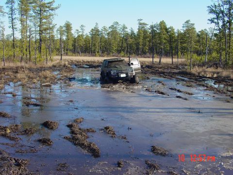 1995 Dodge 1500 - A dark green SUV is stuck in a muddy swamp, with its driver's door open.