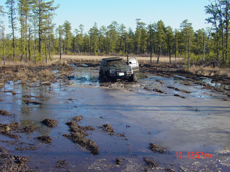 Dark green SUV with open driver door stuck in a muddy swamp, front 3/4 view