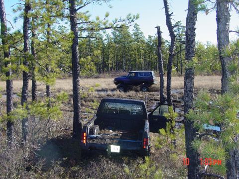 1995 Dodge 1500 - Two off-road vehicles navigate a muddy, wooded area with tall pine trees and sparse undergrowth.