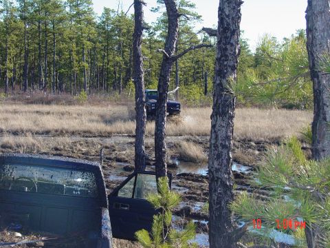 1995 Dodge 1500 - Two trucks are stuck in a muddy, wooded area. The truck in the foreground has its door open.