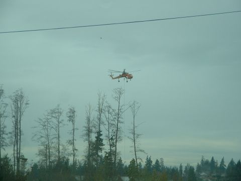 2000 Ford Crown Victoria - A helicopter is seen in the sky above a wooded area.