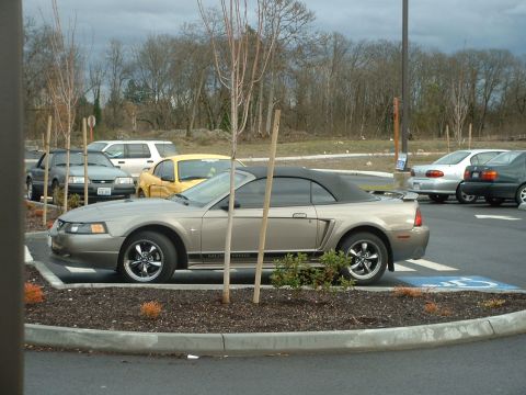 2000 Ford Crown Victoria - Tan Ford Mustang convertible parked in a lot with other vehicles visible.