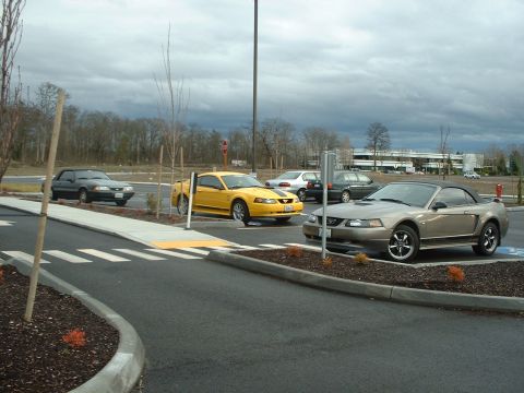 2000 Ford Crown Victoria - Two Ford Mustangs, a tan convertible and a yellow coupe, are parked in a lot under a cloudy sky.
