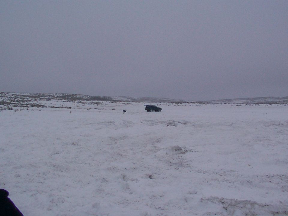Dark SUV parked in a vast, snow-covered field under an overcast sky
