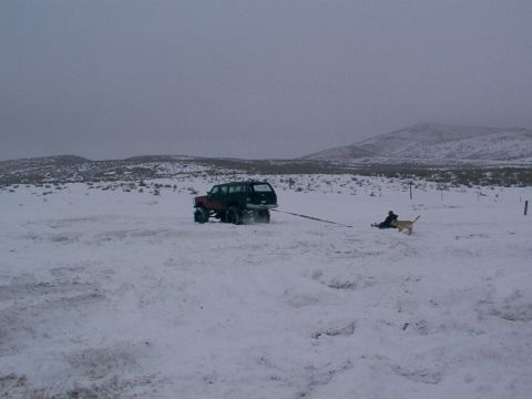 2003 Ford Ranger - Truck pulls a sled with a person and dog across a snow-covered landscape.