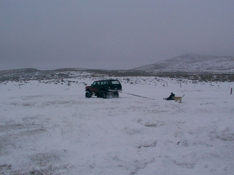 Truck pulling a sled with a person and dog in a snowy field