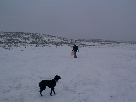 2003 Ford Ranger - A dog and a person with a sled are in a vast, snow-covered landscape under a gloomy sky.