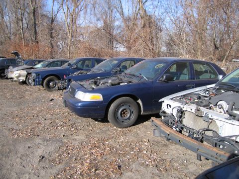 1991 Ford LTD Crown Victoria - Several blue sedans are parked in a junkyard, one with its hood open, showing the engine compartment.