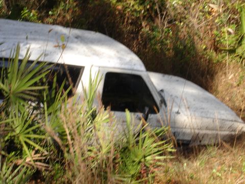 1989 Ford Bronco - A white SUV is seen from the side, partially hidden by overgrown plants and brush.