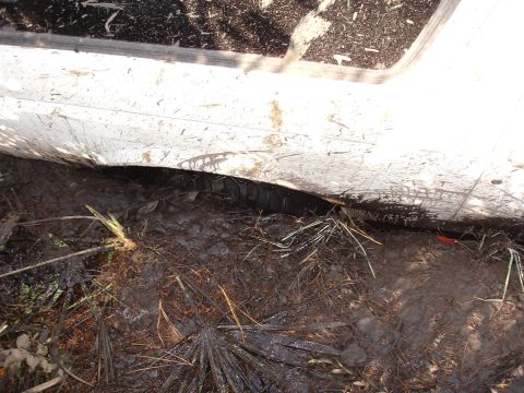 1989 Ford Bronco - A close-up view of a muddy tire and the lower side panel of a white vehicle partially submerged in dirt and vegetation.