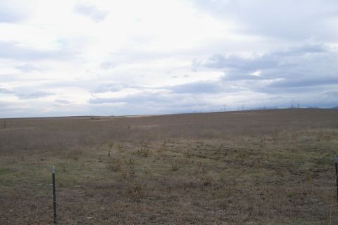 1994 Ford F-150 - A vast, open field stretches under a cloudy sky, with fence posts dotting the foreground.