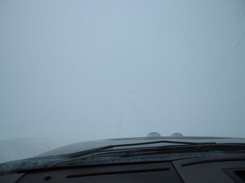 1979 Ford Bronco - The view from the driver's seat is obscured by thick fog, making visibility extremely limited.