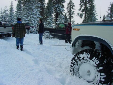 1986 Ford Bronco - Several vehicles are parked in a snowy forest scene, with a white Ford Bronco in the foreground.