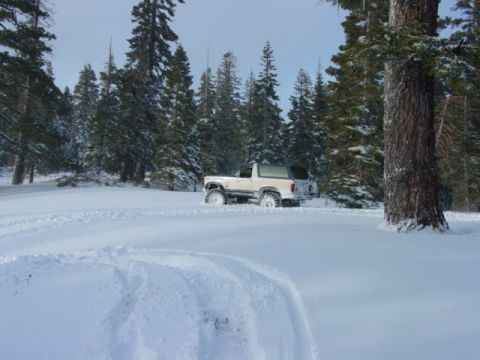 1986 Ford Bronco - A white 1986 Ford Bronco navigates a snowy landscape, leaving tracks in the fresh powder.