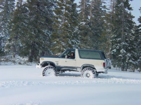 1986 Ford Bronco - Ford Bronco navigating a snowy landscape with trees in the background.